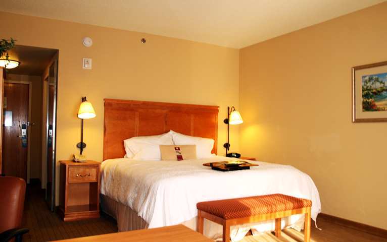 Hampton Inn & Suites Tampa East Casino Area Seffner Zimmer foto